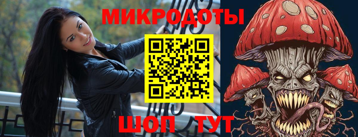 Псилоцибиновые грибы GOLDEN TEACHER Грозный
