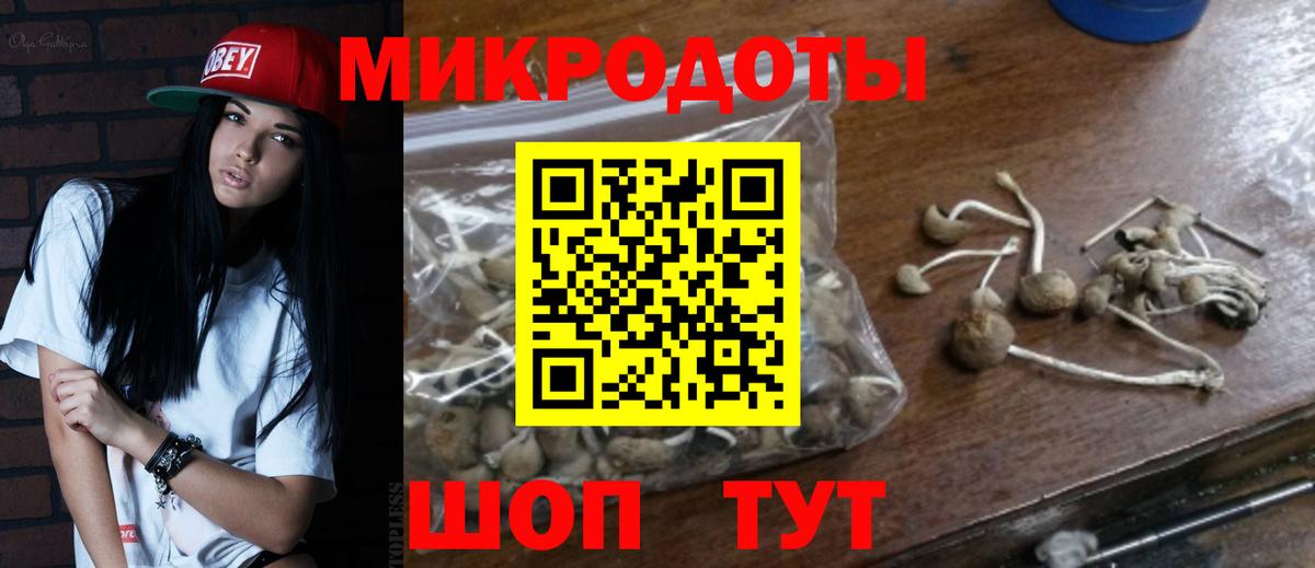 Грозный  Псилоцибиновые грибы GOLDEN TEACHER  Вход с VPN 