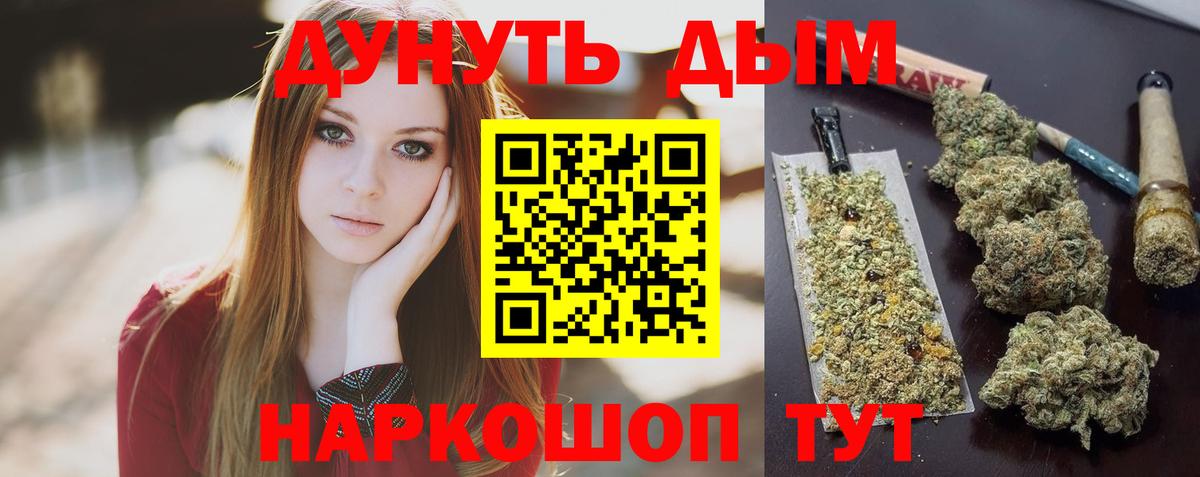 Канабис конопля Грозный